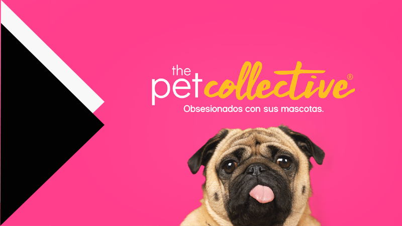 the pet collective